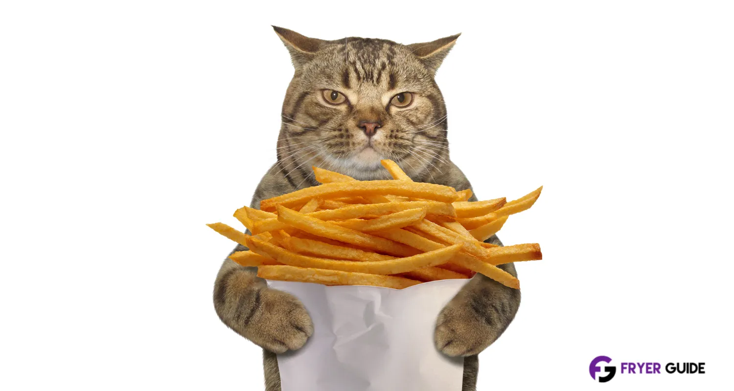 Can Cats Eat Fries From MacDonalds Or Burger King